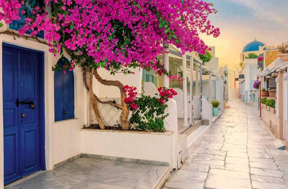 Blue door and pink bougainvillea on a whitewashed street in Oia, Santorini